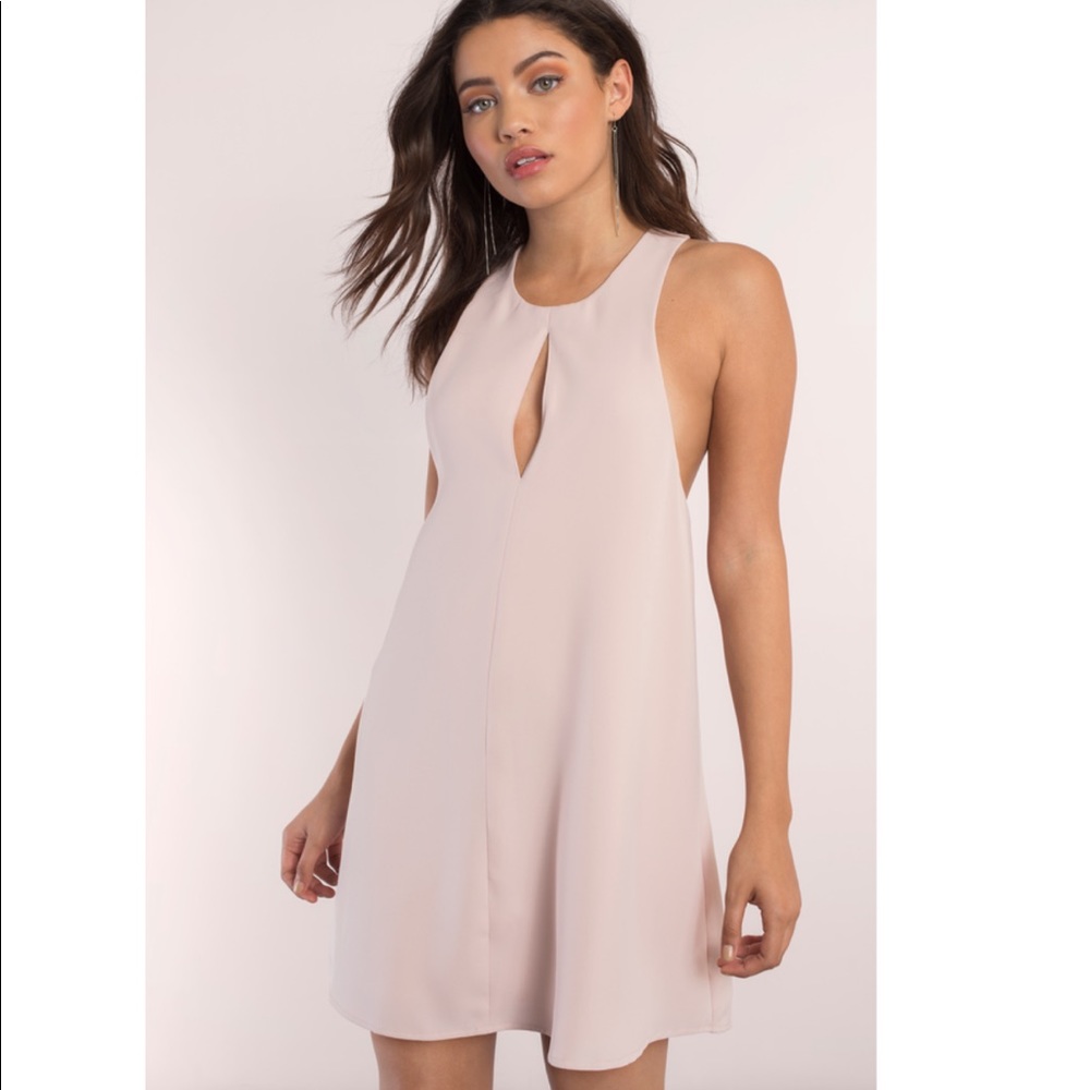 Tobi Winslet Blush Swing Dress size small in blush